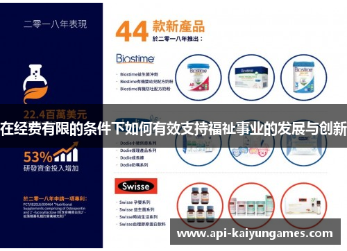 在经费有限的条件下如何有效支持福祉事业的发展与创新