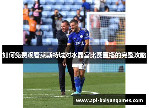 如何免费观看莱斯特城对水晶宫比赛直播的完整攻略
