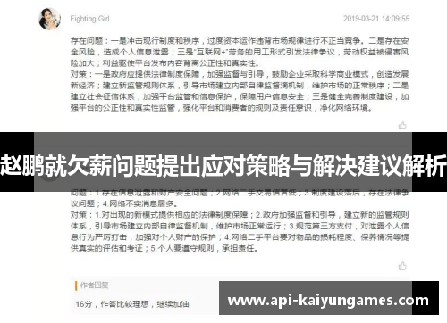 赵鹏就欠薪问题提出应对策略与解决建议解析